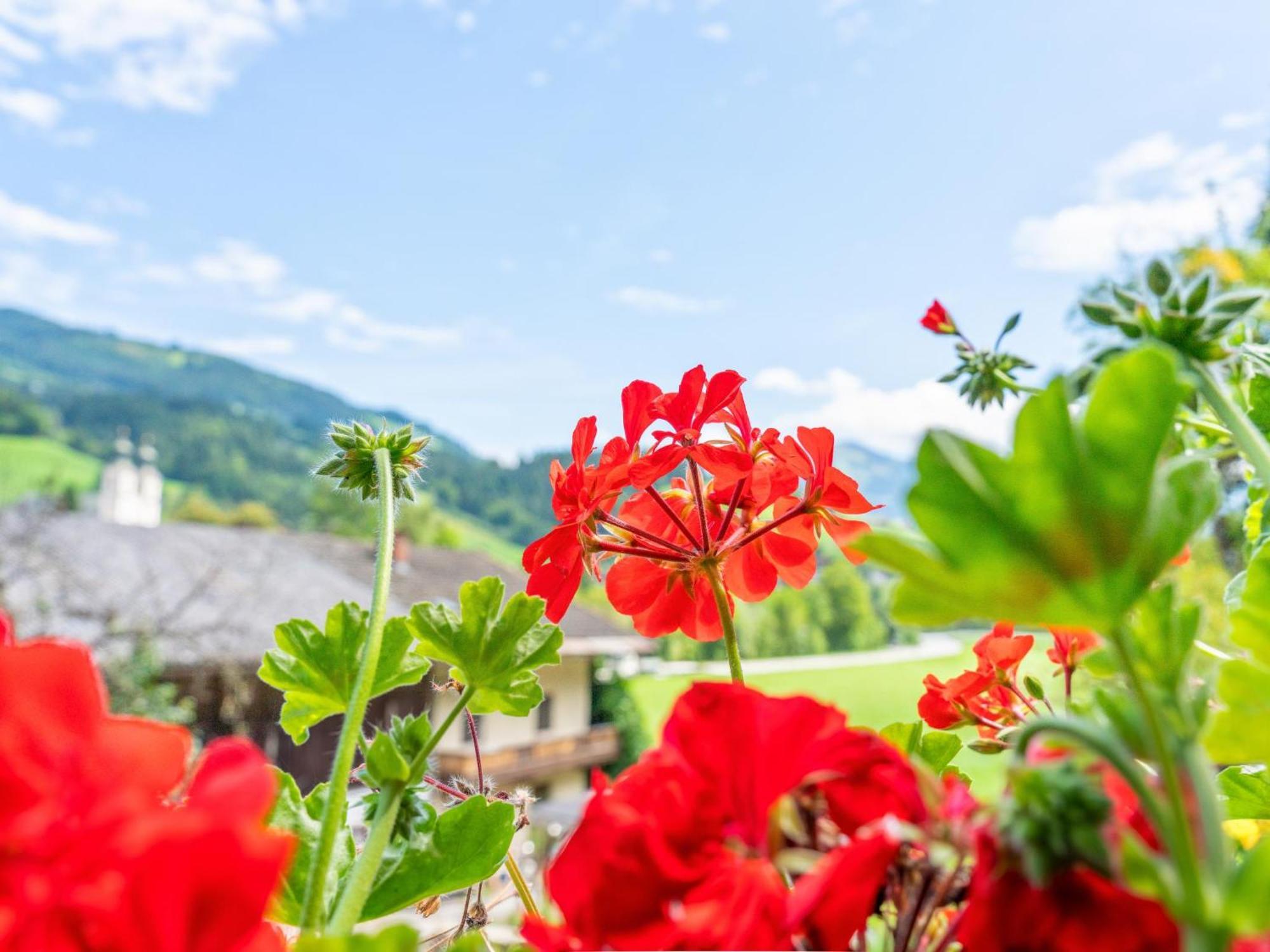 Villa Alte Grafenmuehle à Hopfgarten im Brixental Extérieur photo