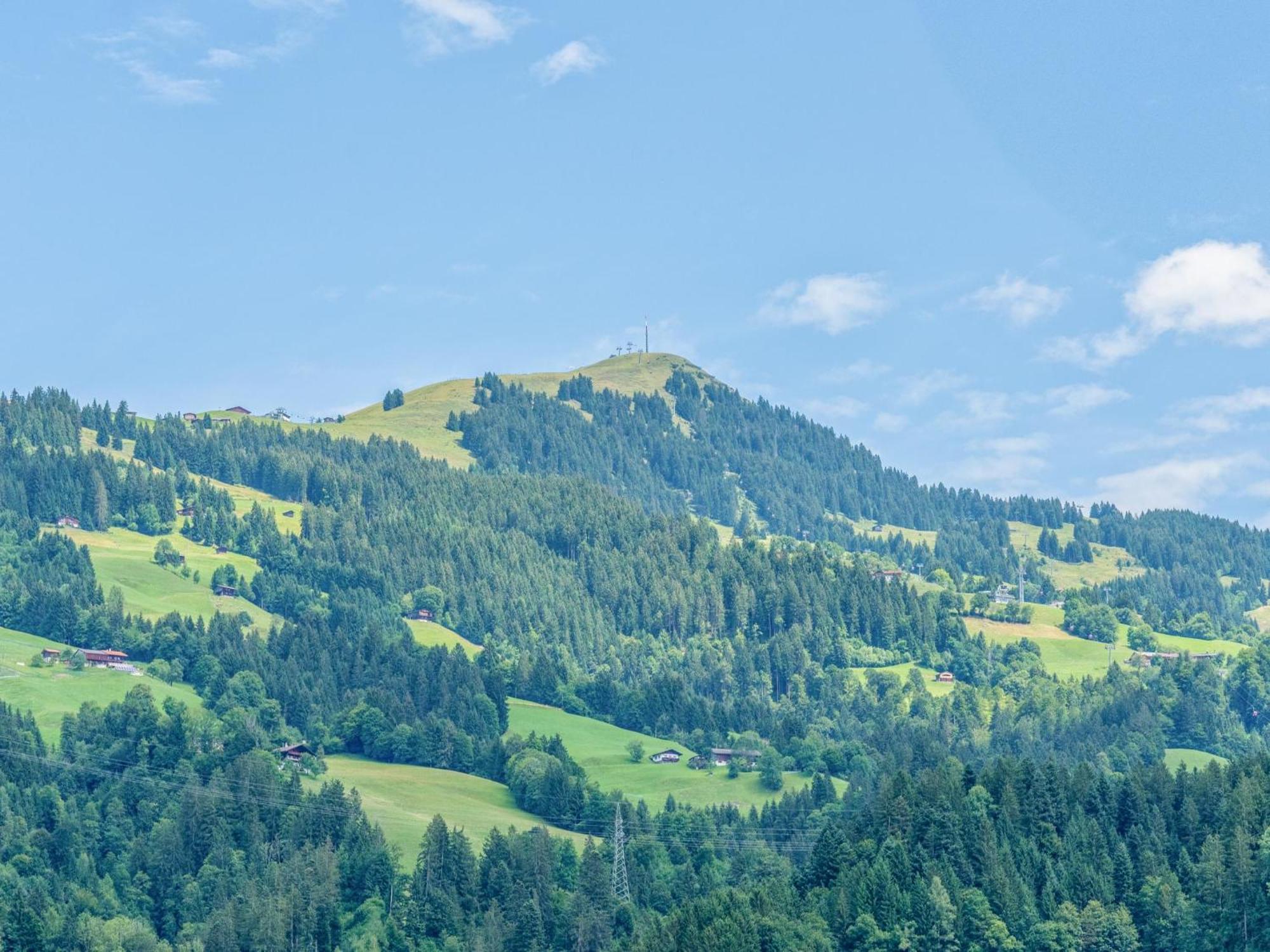 Villa Alte Grafenmuehle à Hopfgarten im Brixental Extérieur photo