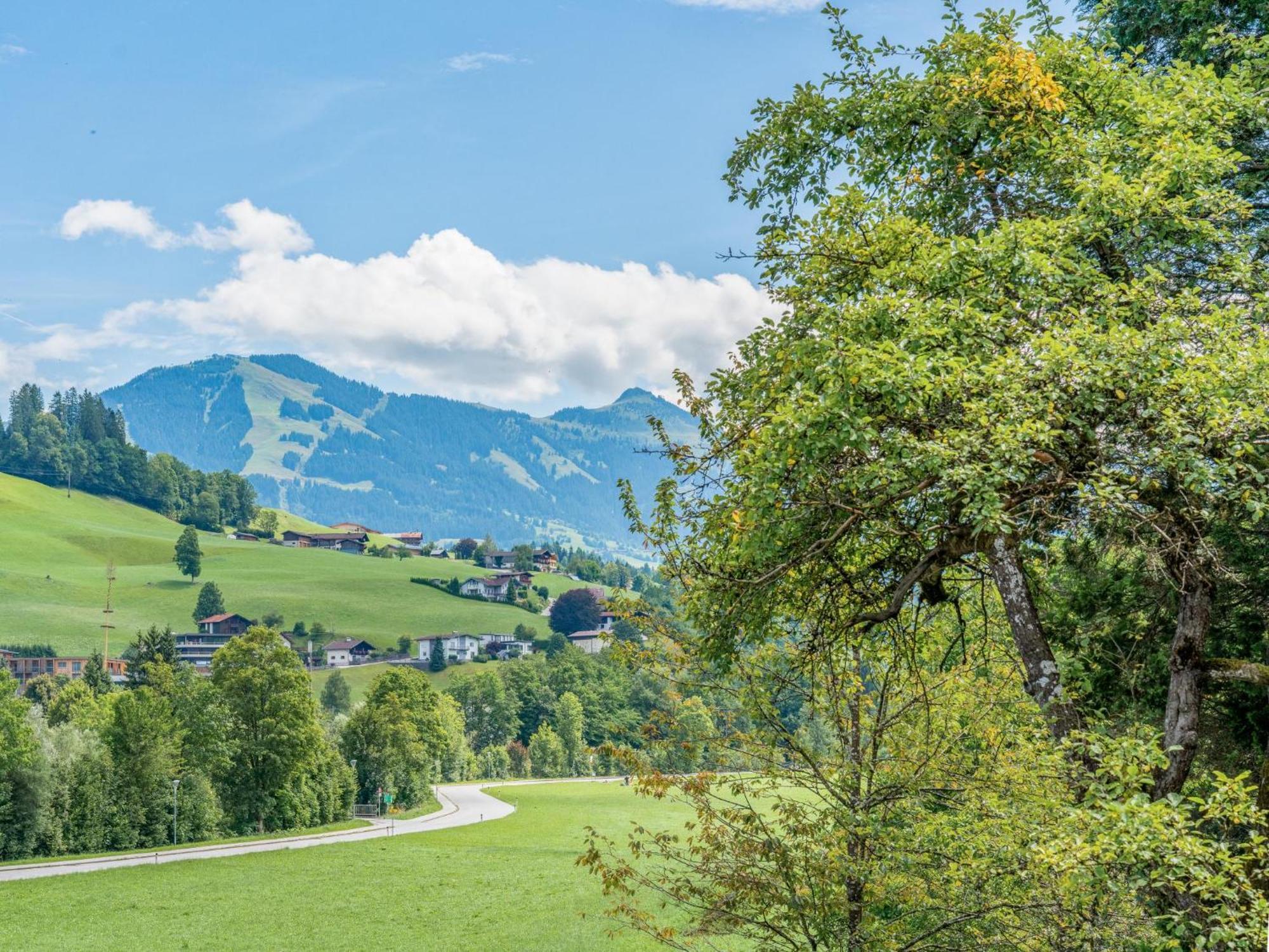 Villa Alte Grafenmuehle à Hopfgarten im Brixental Extérieur photo