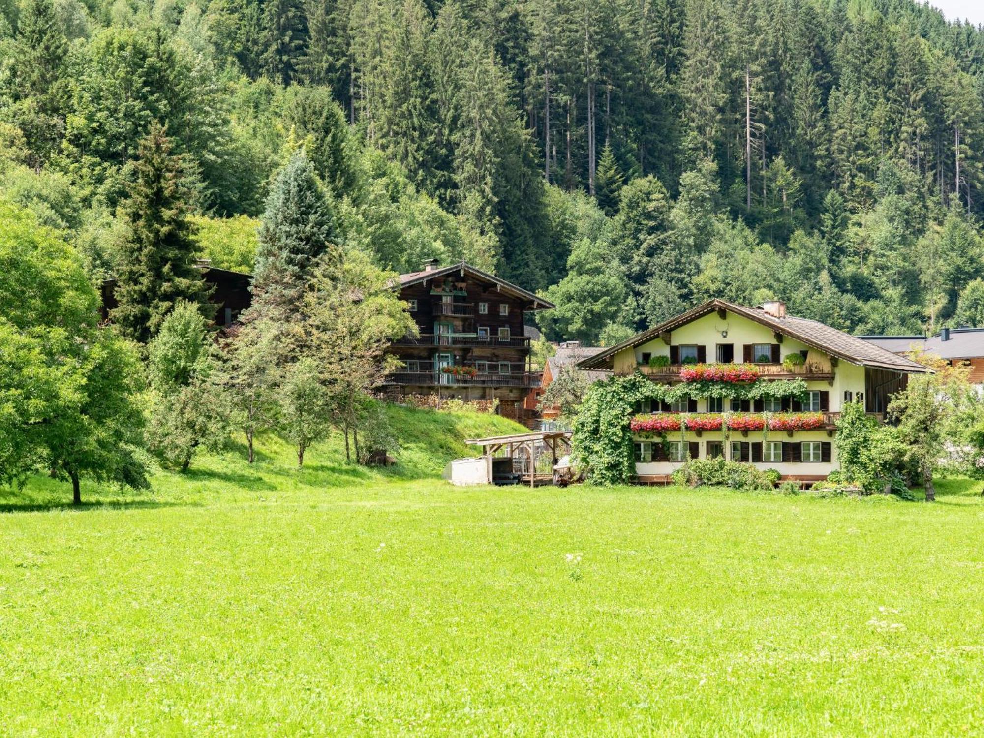 Villa Alte Grafenmuehle à Hopfgarten im Brixental Extérieur photo